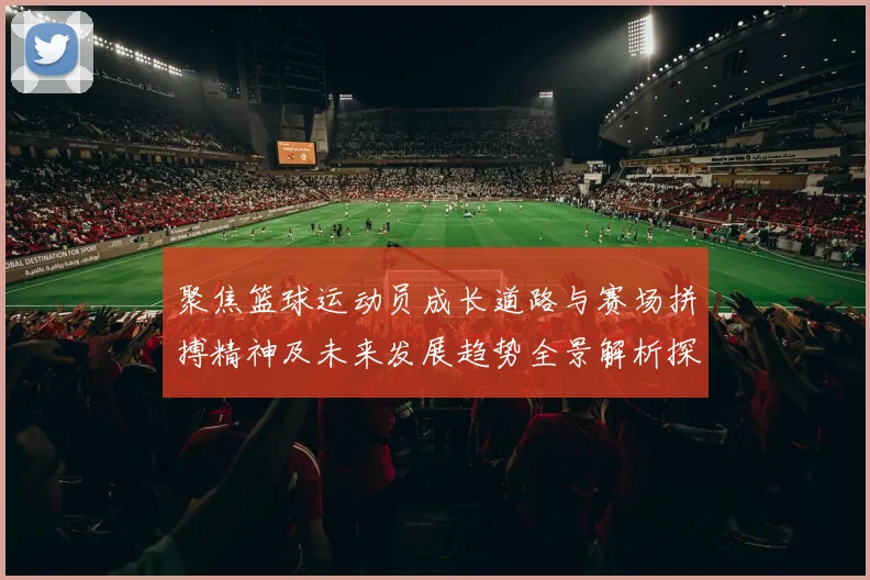 聚焦篮球运动员成长道路与赛场拼搏精神及未来发展趋势全景解析探