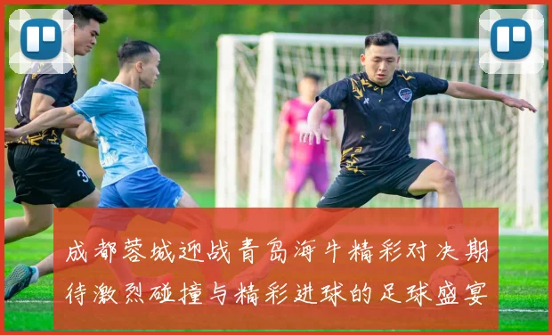 成都蓉城迎战青岛海牛精彩对决期待激烈碰撞与精彩进球的足球盛宴