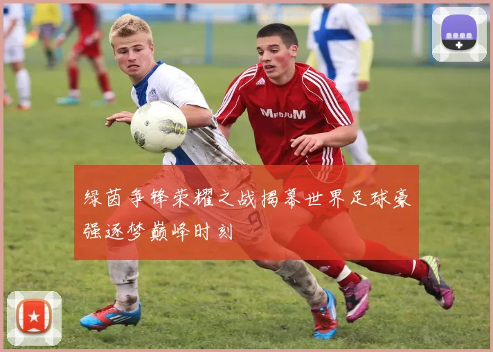 绿茵争锋荣耀之战揭幕世界足球豪强逐梦巅峰时刻