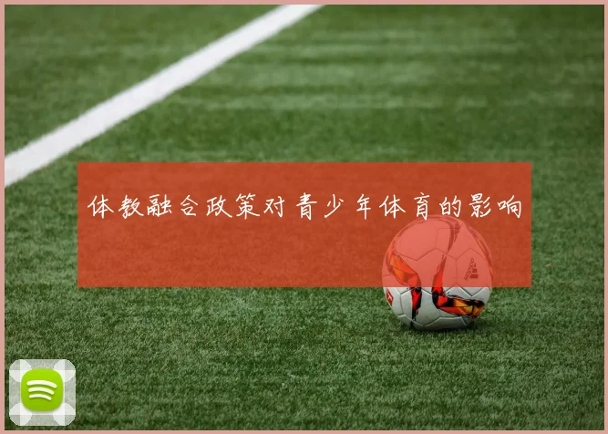 体教融合政策对青少年体育的影响