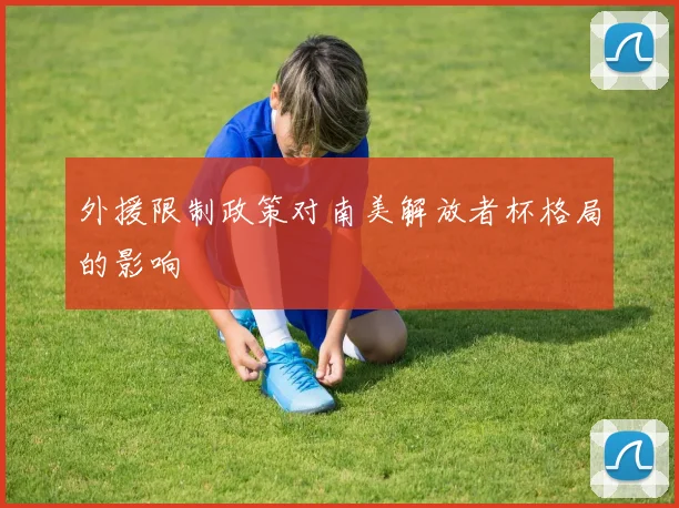 外援限制政策对南美解放者杯格局的影响